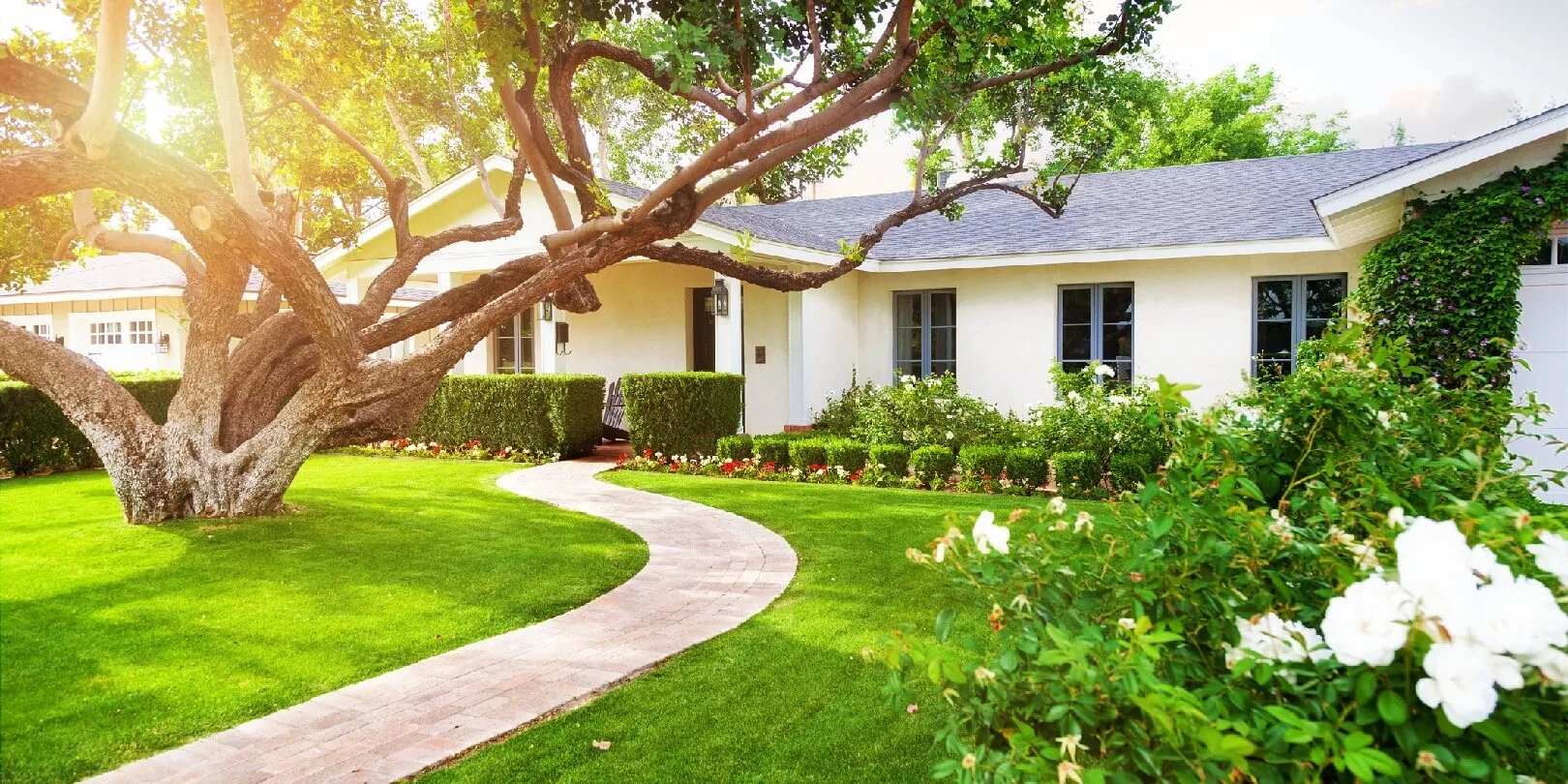 Simple landscaping